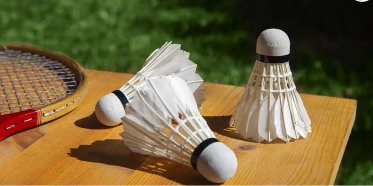 Bí Kíp Cá Cược Cầu Lông Tại VNZ6 Từ A Đến Z Cho Người Mới 2 Bí Kíp Cá Cược Cầu Lông Tại VNZ6 Từ A Đến Z Cho Người Mới