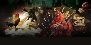 Tuyệt Chiêu Áp Dụng Cách Chơi Đá Gà GA28 Tại VNZ6