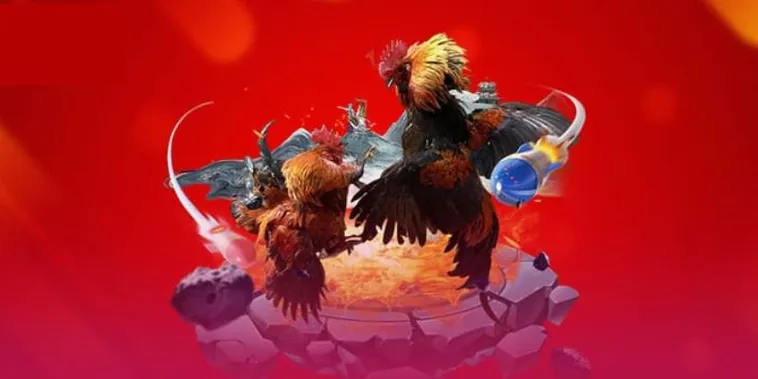 Thiên Đường Cá Cược Đá Gà VNZ6 Đẳng Cấp Nhất Hành Tinh